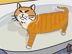 -御宝贝·A梦猫科宠物医院(国际猫友好医院)