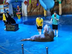 -烟台海昌鲸鲨海洋公园