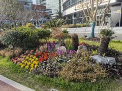 -北外滩滨江绿地