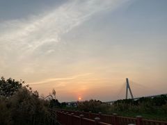 -芒洲湿地公园