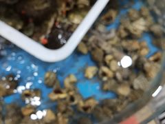 -鑫渔港海鲜本地菜·山海关浑锅(东戴河店)