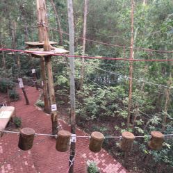 -成都飞越丛林(锦绣城园区)