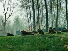 -北京野生动物园