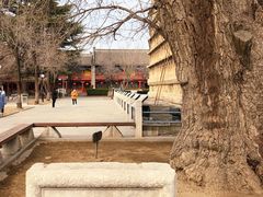 -北京石刻艺术博物馆(五塔寺)