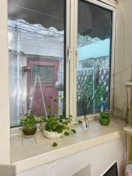 -M Nails & Beauty美甲美睫美体