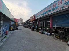 -南汇花鸟市场(上海浦东新花卉店)