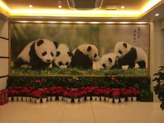 -成都驻京办餐厅(蜀都宾馆店)