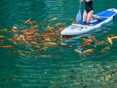 -青鱼湾水上乐园