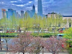 -新荣记(BFC外滩金融中心店)