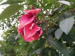 -晓港公园