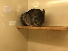 -龙猫仔乐园(惠福东路店)