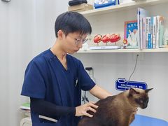 -拜鲁耶动物诊疗中心·宠家动物医院