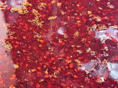 -怪老头甜不辣(抚琴小区店)