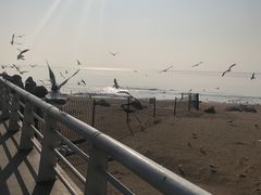 -老虎石海上公园