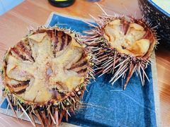 -海胆小馆(东北水饺·春柳店)