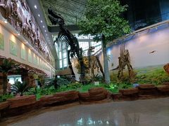 -嘉荫恐龙国家地质公园