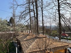 -桃源山庄·水蜜桃采摘·柴火鸡·烧烤团建(龙泉山店)