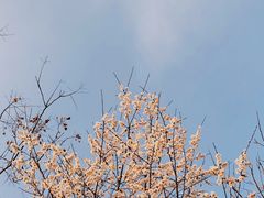 -南山湖公园