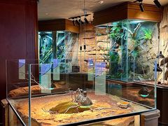 -帕帕拉兹宠物(亚洲旗舰店)