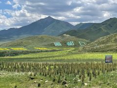 -扁都口生态休闲旅游区