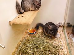 -龙猫仔乐园(惠福东路店)