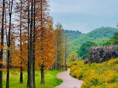 -广州市石门国家森林公园
