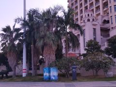 -温德姆至尊酒店·海鲜自助餐厅(海沧店)