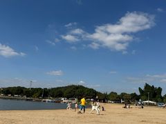 -上海月湖雕塑公园