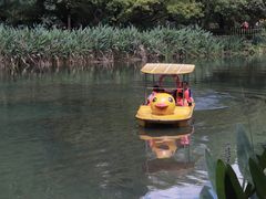 -花溪公园
