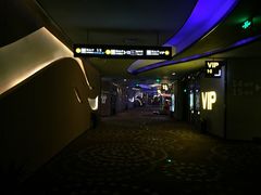 -万达影城(汉街万达广场IMAX店)