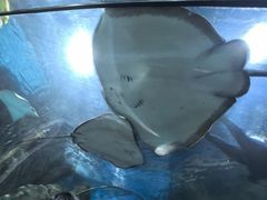-福州罗源湾海洋世界旅游区