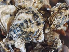 -宾朋海鲜特色美食餐厅·纯手工鲅鱼水饺(兴海路店)