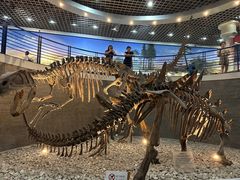 -国家自然博物馆