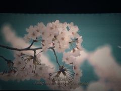 -南宁时代电影大世界(CGS激光中国巨幕)