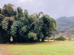 -贵阳市花溪国家城市湿地公园