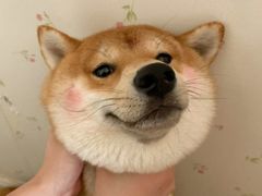 -盛兴面馆(真儒大厦店)