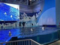 -福州罗源湾海洋世界旅游区