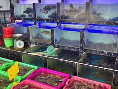 -众味海鲜大排档·活海鲜·潮汕味(南澳店)