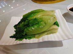 白灼生菜-晶晶粤西特色美食(市桥店)