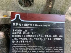 -小洲村