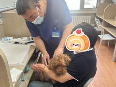 -北京观赏动物医院·24小时大型综合·猫专科·异宠专科