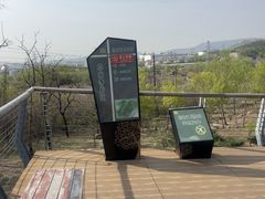 -白水寺森林公园