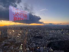 -六本木新城展望台(东京城市景观)