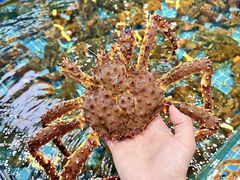 -前王院•巧克力海鲜市集餐厅(万平口店)