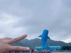 -珠海长隆海洋王国