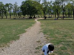 -汉长安城未央宫国家考古遗址公园