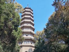 -灵谷景区