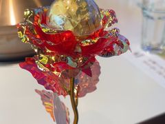-烹然四季椰子鸡火锅(姚家园万象汇店)