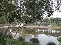 -西安市长乐公园