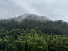 -芦茨金富饭庄·25年老字号·专做稻草鸡